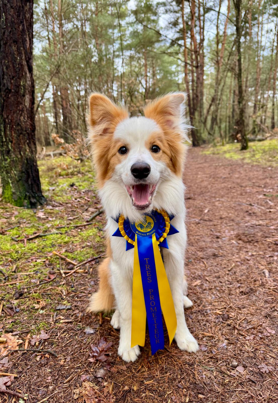 A Great King From Buddy's Kingdom