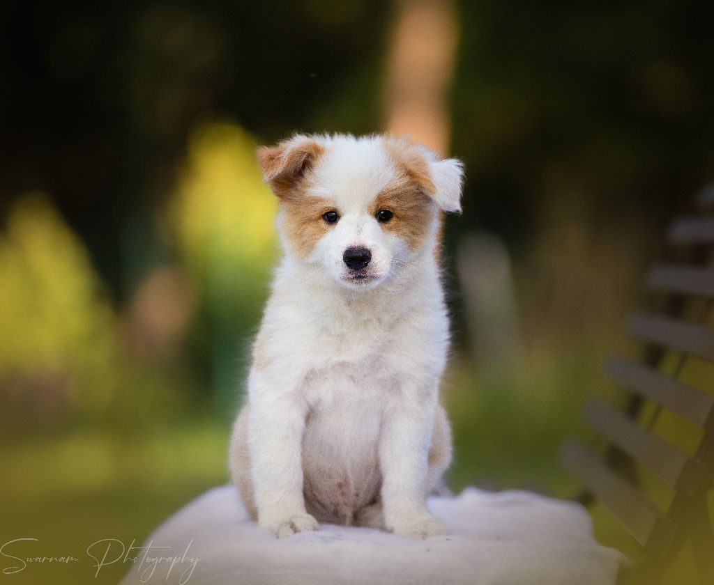 A great king From Buddy's Kingdom